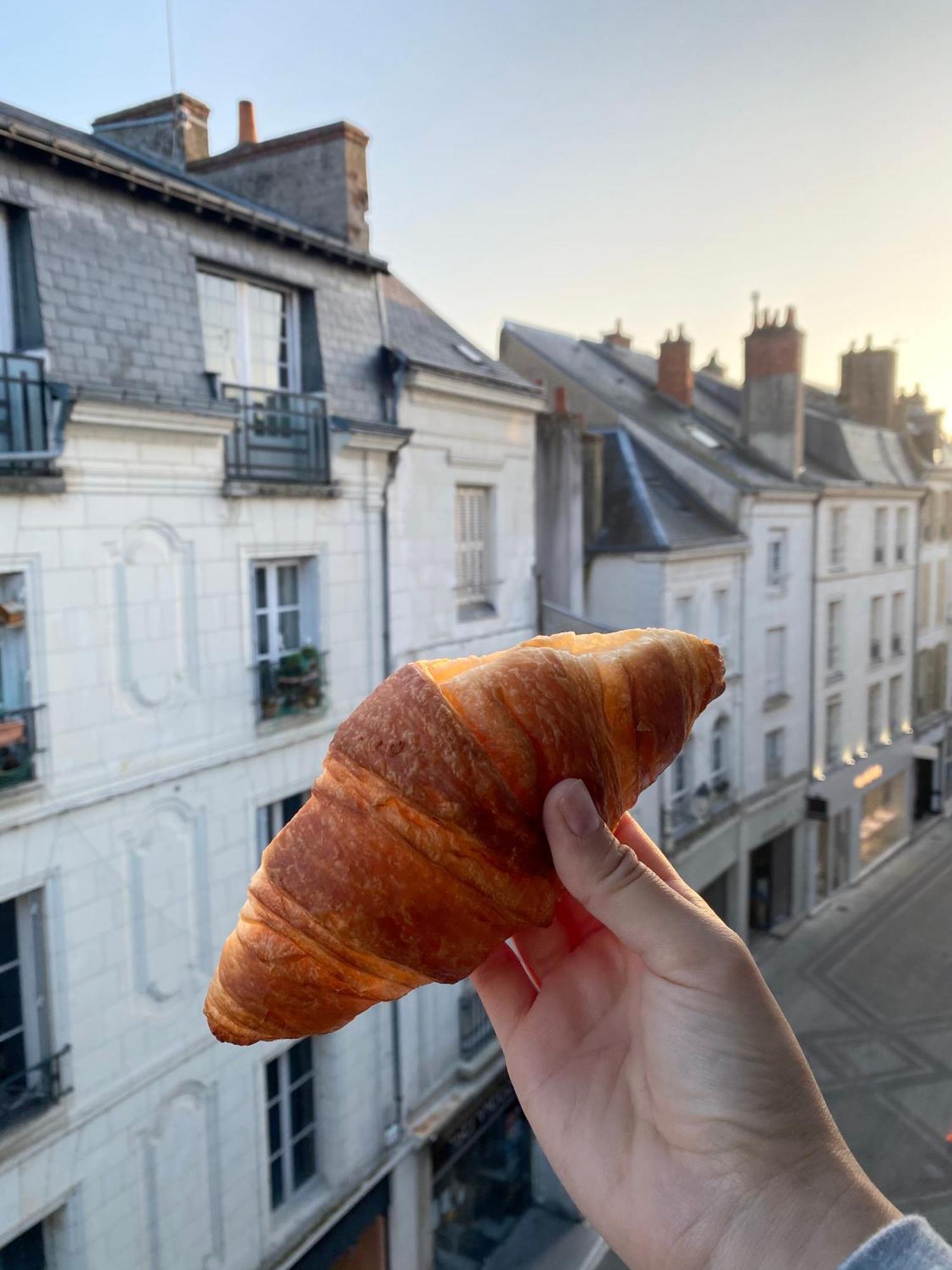 Magnifique Logement Au Pied Du Chateau Blois Eksteriør bilde