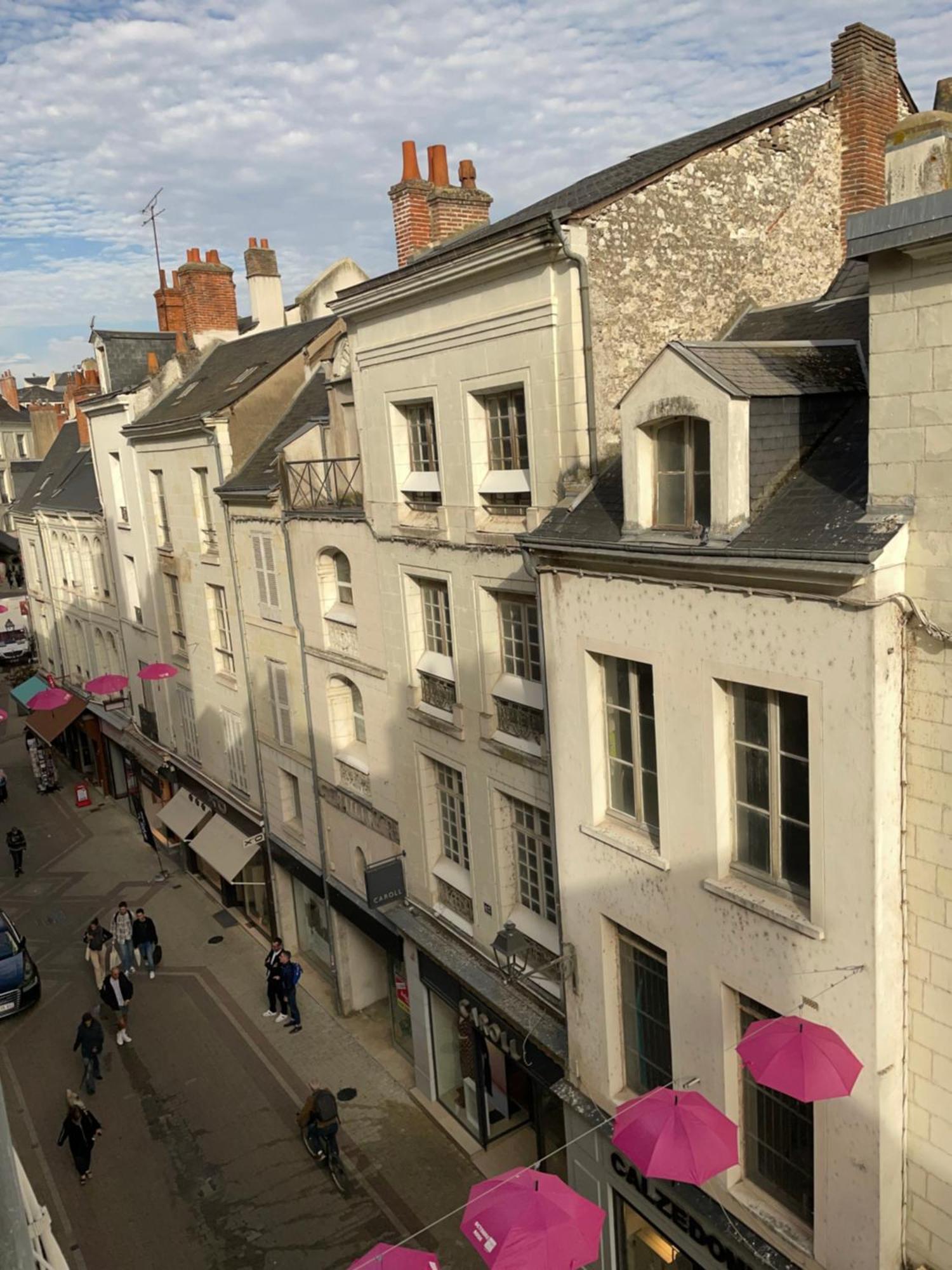 Magnifique Logement Au Pied Du Chateau Blois Eksteriør bilde